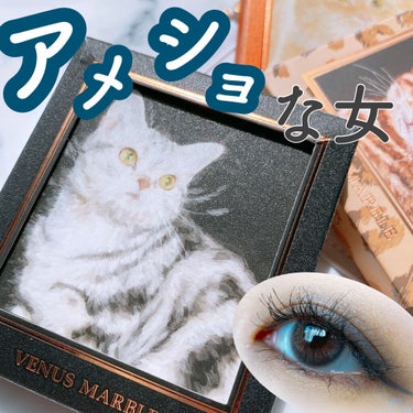 Venus Marble アイシャドウキャットシリーズ/Venus Marble/アイシャドウパレットを使ったクチコミ（1枚目）