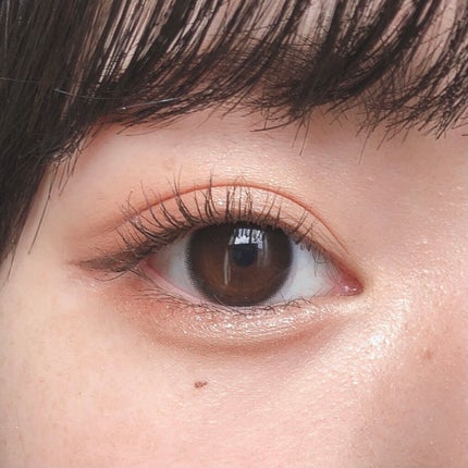 シャドウパレット/dasique/アイシャドウパレットを使ったクチコミ(5枚目)