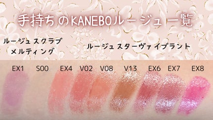 ルージュスターヴァイブラント/KANEBO/口紅を使ったクチコミ(1枚目)