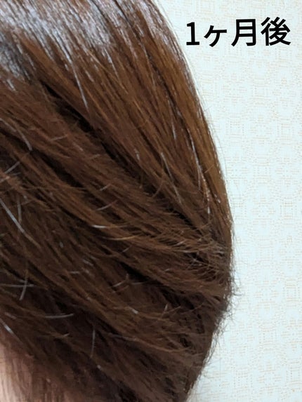 デザイニングカラー/CIELO/ヘアカラーを使ったクチコミ(6枚目)