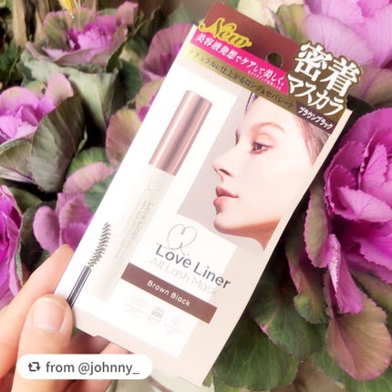 ラブ・ライナー オールラッシュマスク/ラブ・ライナー/マスカラを使ったクチコミ(1枚目)