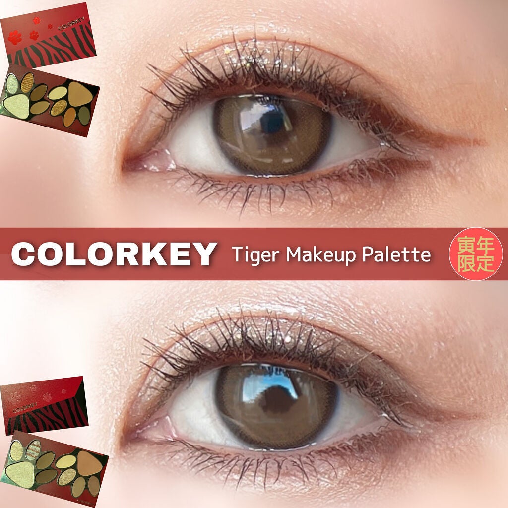 トラ十色アイシャドウパレット/COLORKEY/アイシャドウパレットを使ったクチコミ(1枚目)