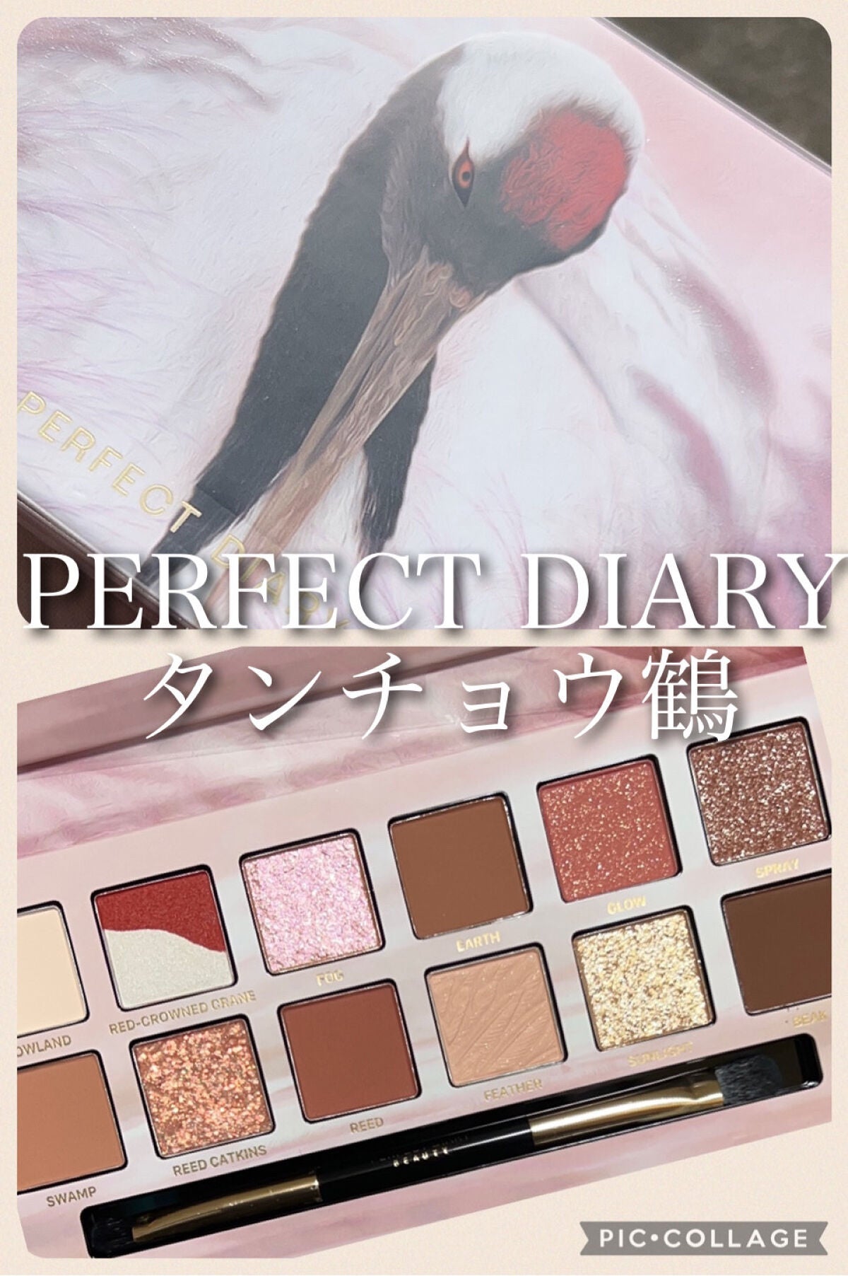 エクスプローラ12色 動物アイシャドウパレット/PERFECT DIARY/アイシャドウパレットを使ったクチコミ(2枚目)