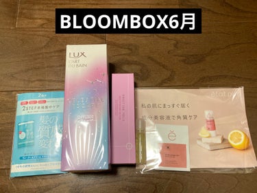 BLOOMBOX6月