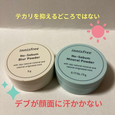 ノーセバム ブラーパウダー/innisfree/ルースパウダーを使ったクチコミ（1枚目）