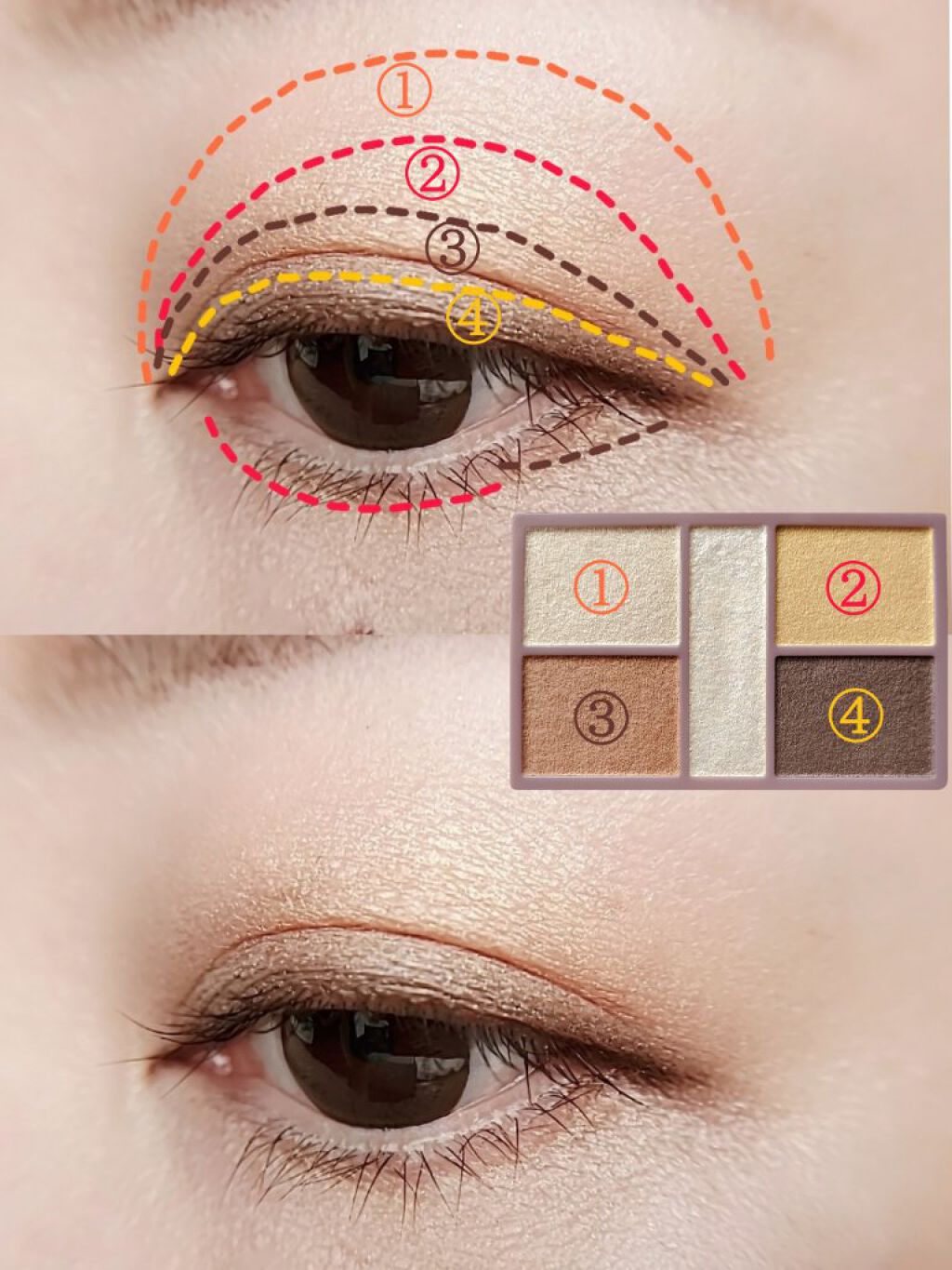 シングルカラー アイシャドウ T01/DHC/アイシャドウパレットを使ったクチコミ（3枚目）