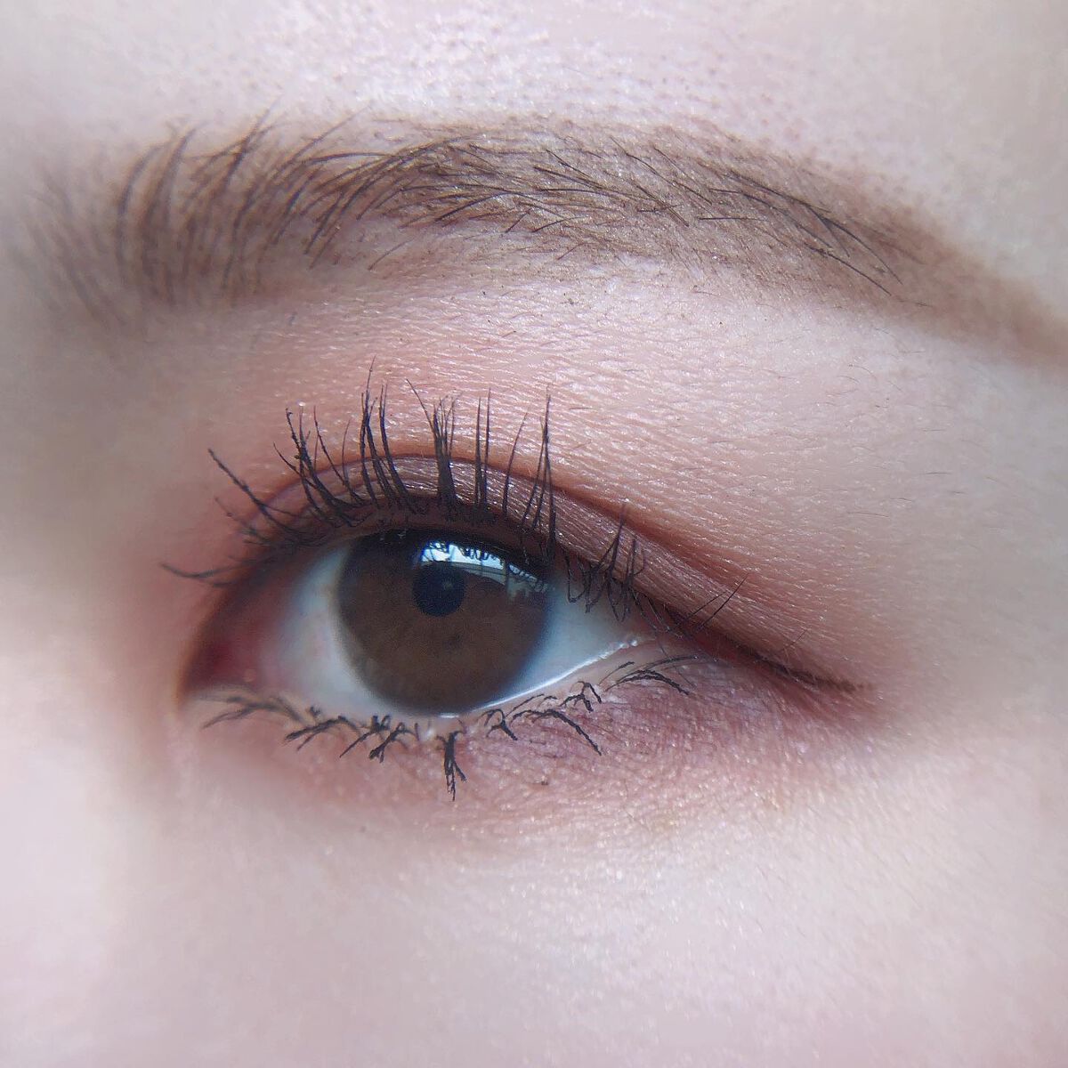 あゆみ on LIPS 「・\#todaysmake/・アイシャドウ☑@lunasolo..」(3枚目)