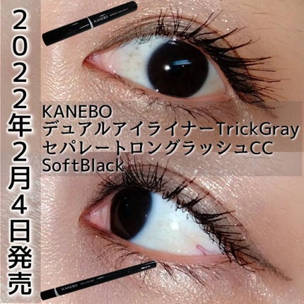 セパレートロングラッシュCC/KANEBO/マスカラを使ったクチコミ(1枚目)