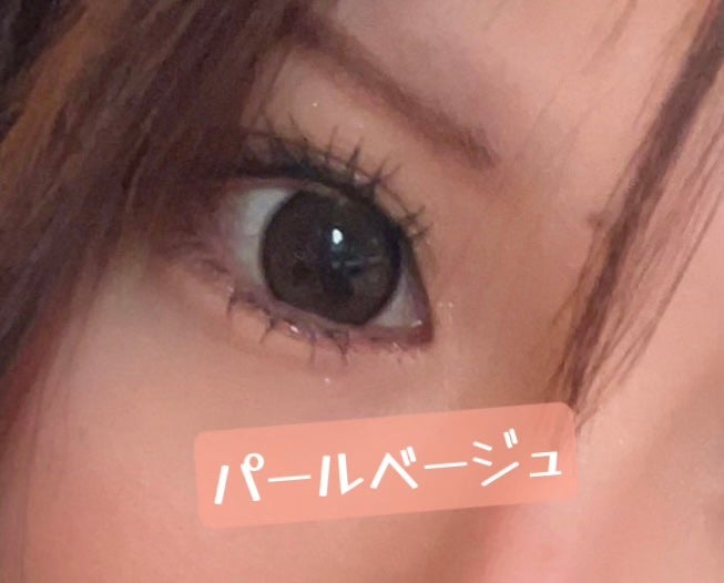 エバーカラーワンデー ナチュラル/エバーカラー/ワンデー(1DAY)カラコンを使ったクチコミ(2枚目)