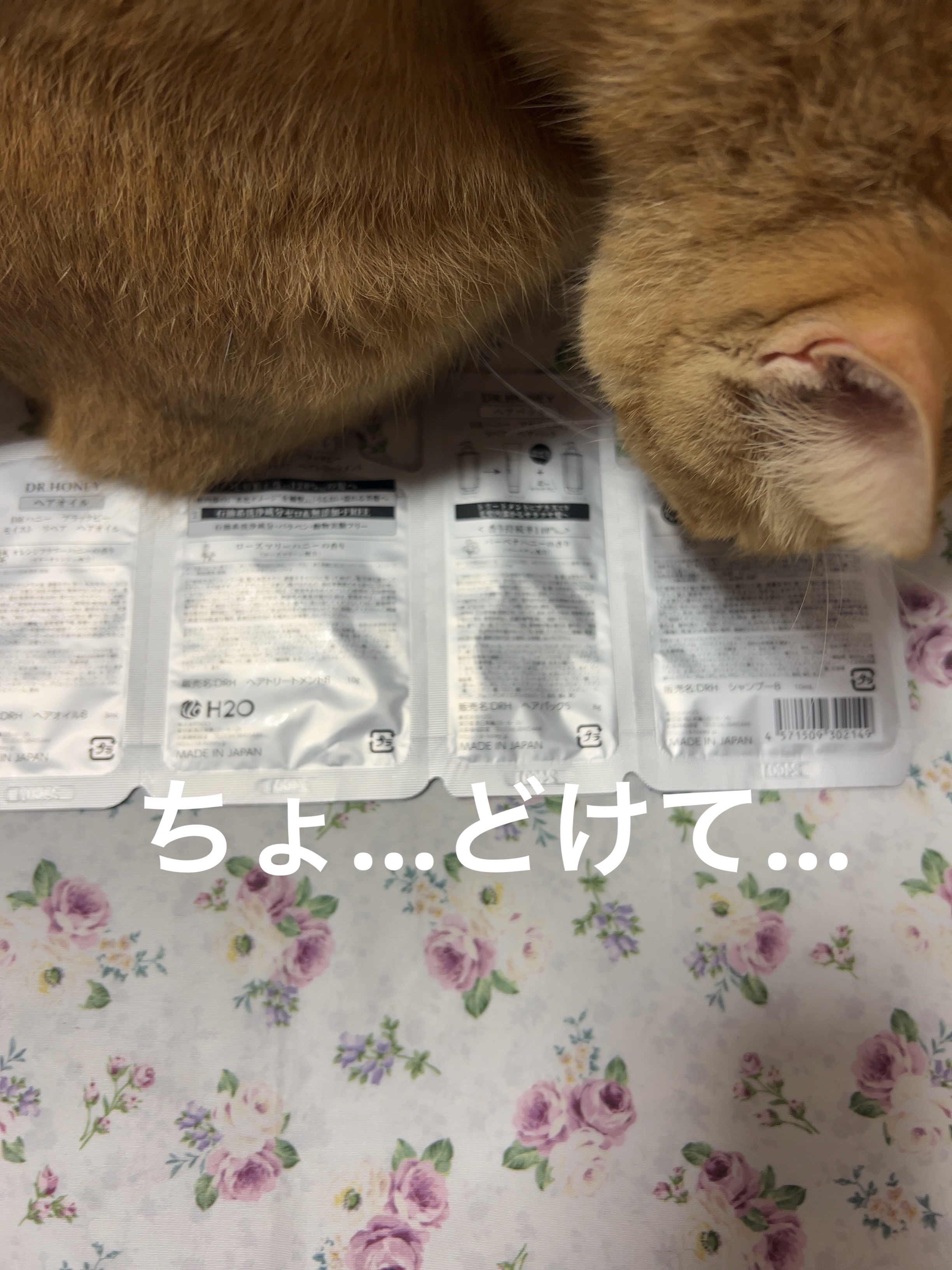 DRハニー ブラックビー モイスト リペア シャンプー/ヘアトリートメント/DR.HONEY/市販シャンプーを使ったクチコミ（2枚目）