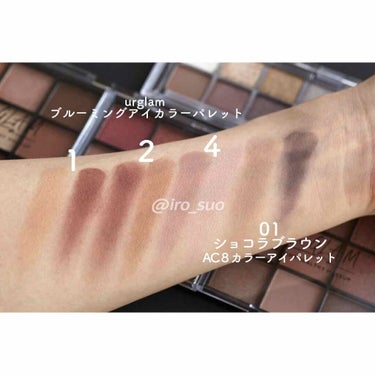 UR GLAM　BLOOMING EYE COLOR PALETTE/U R GLAM/アイシャドウパレットを使ったクチコミ（2枚目）