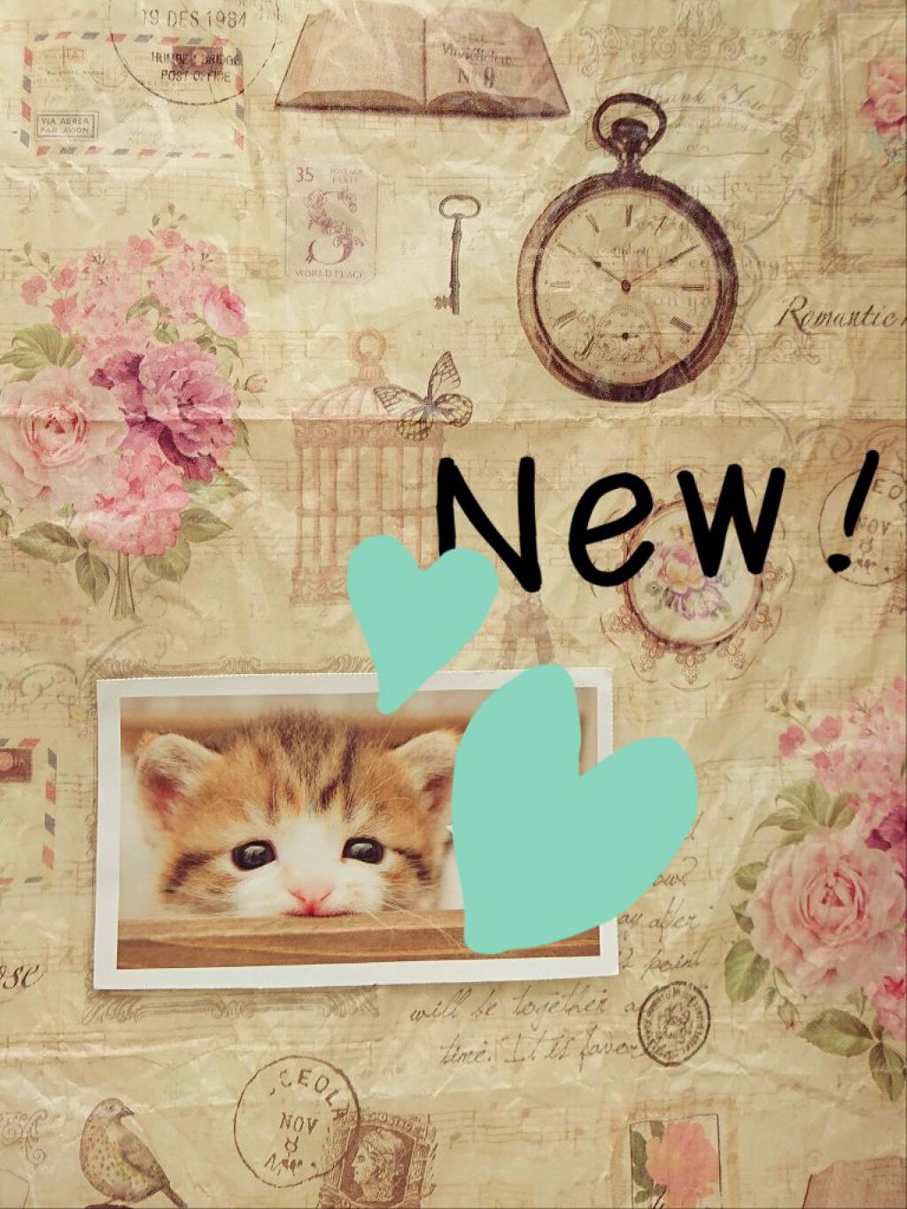 グローオン (レフィル) M ソフト オレンジ 541/shu uemura/パウダーチークを使ったクチコミ（2枚目）