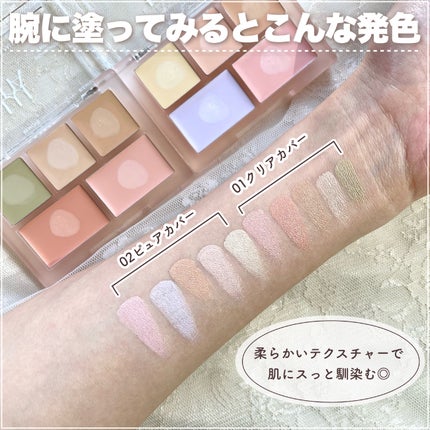 コンシールブレンダーパレット/LUNA/パレットコンシーラーを使ったクチコミ(5枚目)