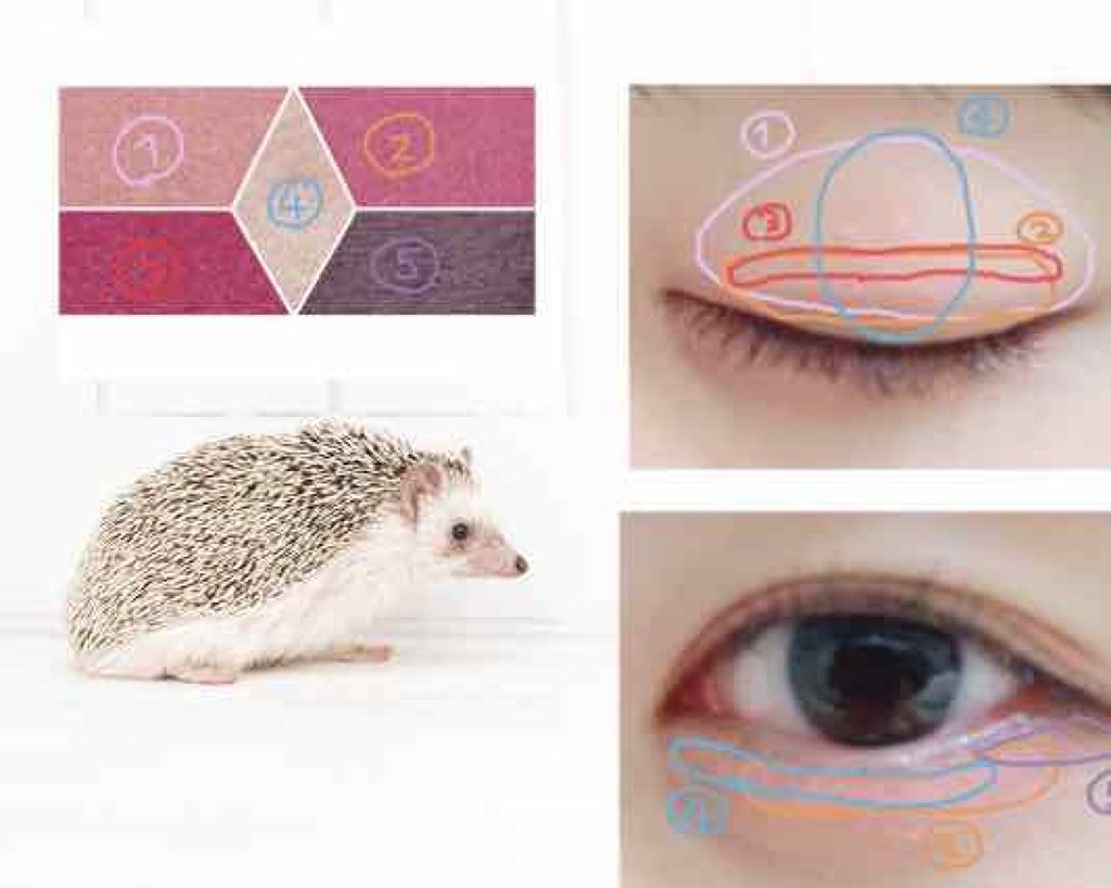 【旧品】パーフェクトスタイリストアイズ/キャンメイク/アイシャドウパレットを使ったクチコミ（2枚目）