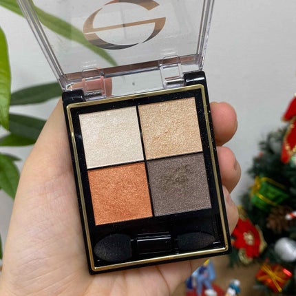 リアルクローズシャドウ/excel/アイシャドウパレットを使ったクチコミ(2枚目)