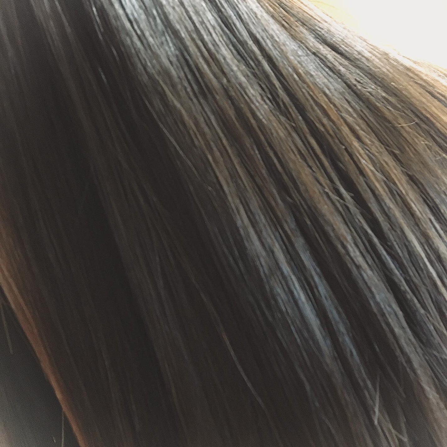 フォルテ アンプル トリートメント/treecell/洗い流すヘアトリートメントを使ったクチコミ(5枚目)