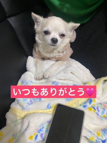 はちみつ洗顔石鹸/HACCI/洗顔石鹸を使ったクチコミ(8枚目)