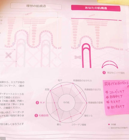 無料サンプル(約5日分)/APEX/トライアルキットを使ったクチコミ(2枚目)