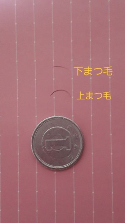 DHCアイラッシュトニック/DHC/まつげ美容液を使ったクチコミ(4枚目)