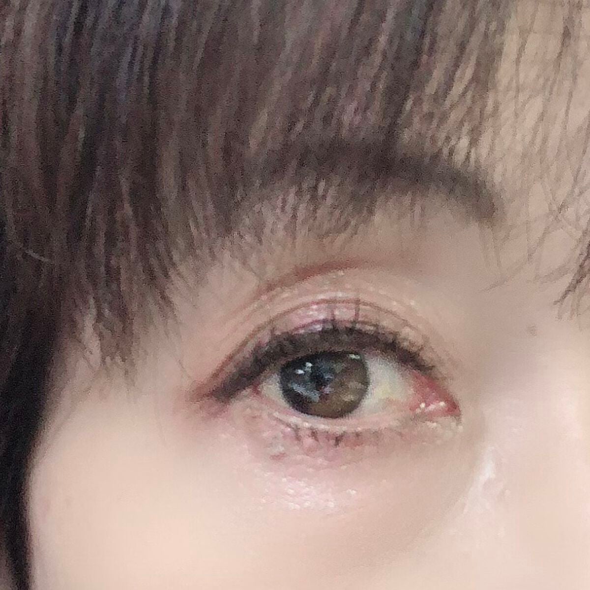 シャドーフラッシュ /MAJOLICA MAJORCA/アイシャドウパレットを使ったクチコミ(3枚目)