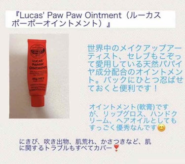 LUCAS’　PAPAW　OINTMENT/LUCAS’ PAPAW REMEDIES/フェイスクリームを使ったクチコミ（2枚目）