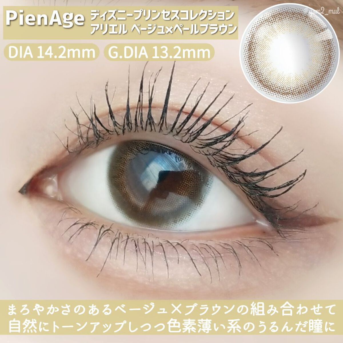 ベージュトーンアイシャドウ/CEZANNE/アイシャドウパレットを使ったクチコミ（3枚目）