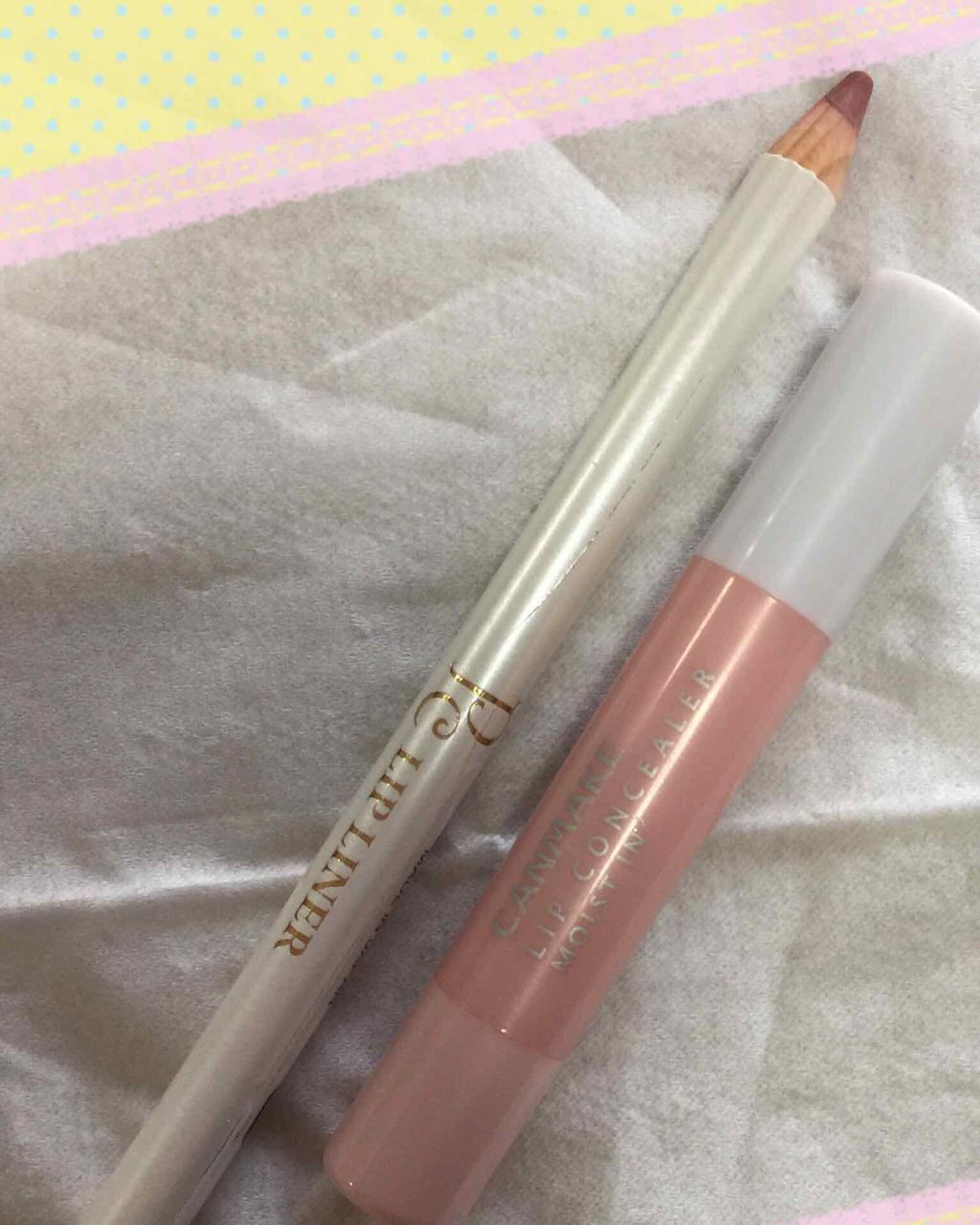 リップコンシーラー モイスト イン/キャンメイク/スティックコンシーラーを使ったクチコミ(1枚目)