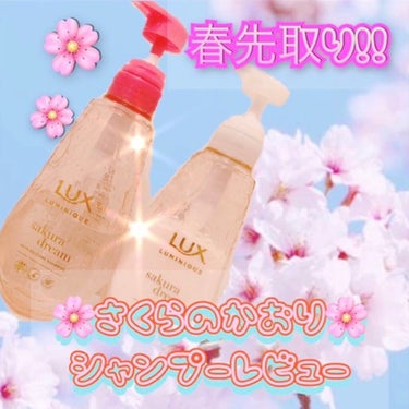 🌸春限定🌸さくらの香りで春先取り🌸
Luxシャンプー💭🌸 レビュー！
♥・。.。*♥*。.。・*♥*・。.。*♥*・。.。*♥*。

【ユニリーバ
ラックス ルミニーク サクラドリーム シャンプー 】
