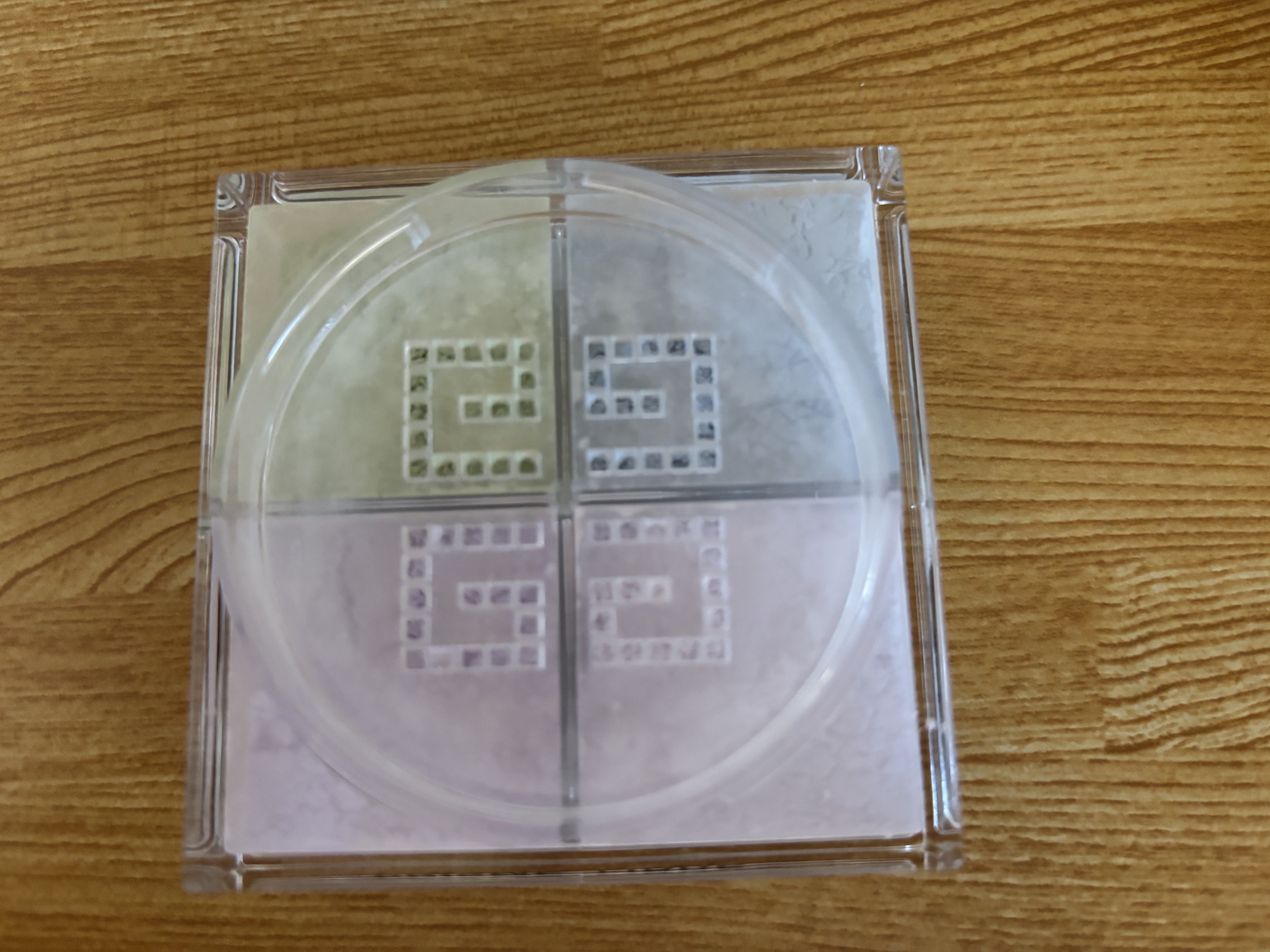 プリズム・リーブル・スキンケアリング・グロウ・クッション/GIVENCHY/クッションファンデーションを使ったクチコミ（3枚目）