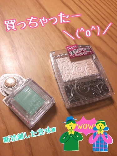 セザンヌ全然買うつもりなかったのに❗
緑のアイシャドウなんて多分たいして使わないだろうに❗
好奇心に負けてお買い上げしてしまいました…断捨離の意味ー＼(^o^)／

ピンク、グリーン、ネイビー、パープル