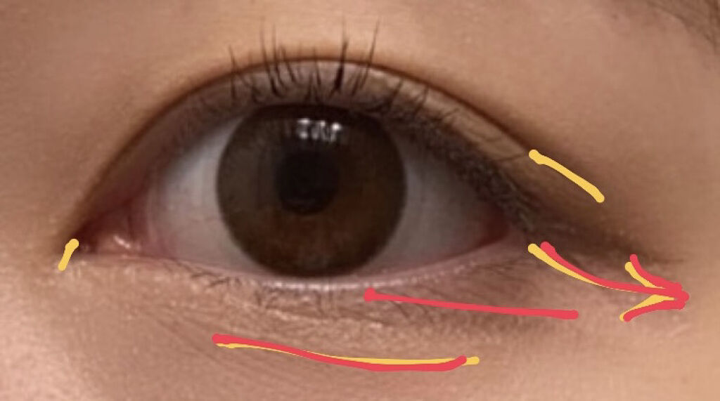 貴族のゴールド メイクブラシ11本セット 化粧ポーチ付き/SIXPLUS/メイクブラシを使ったクチコミ（2枚目）