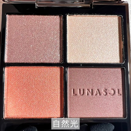ルナソル アイカラーレーションN/LUNASOL/アイシャドウパレットを使ったクチコミ(4枚目)