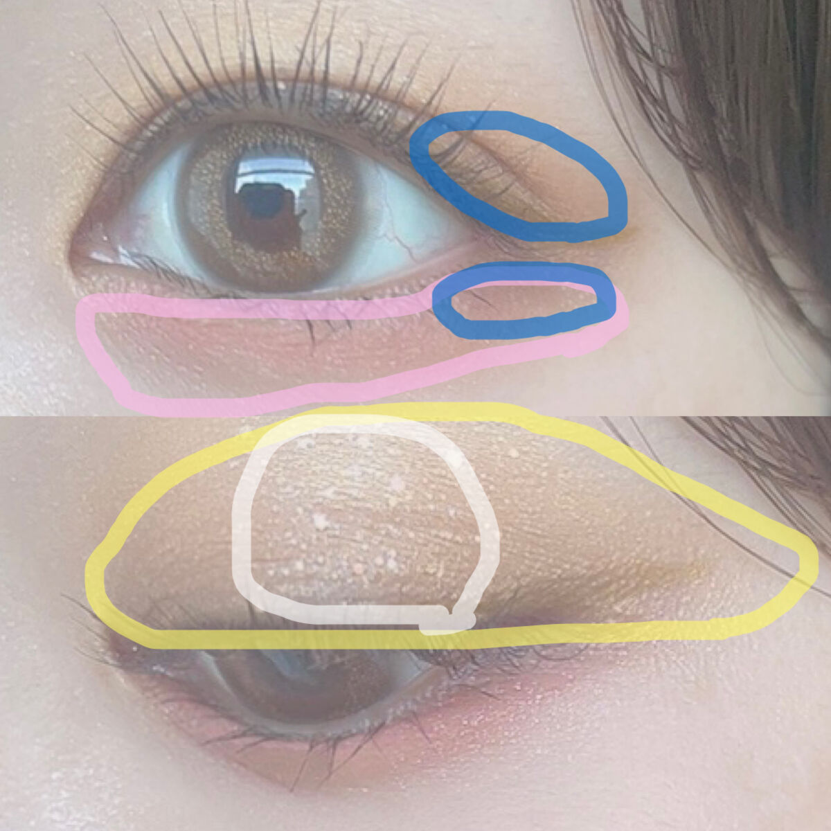 エテュセ アイエディション (マスカラベース)/ettusais/マスカラ下地を使ったクチコミ（2枚目）