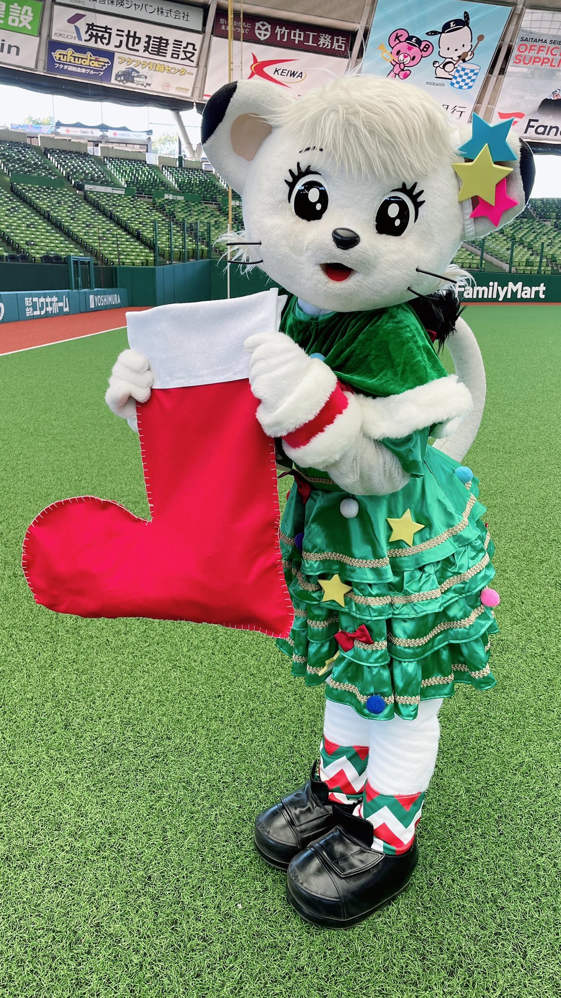 パレットコンシーラー/CEZANNE/パレットコンシーラーを使ったクチコミ（1枚目）