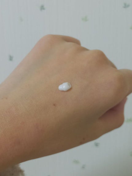 ラスティングマルチアイベース WP/キャンメイク/アイシャドウベースを使ったクチコミ(7枚目)