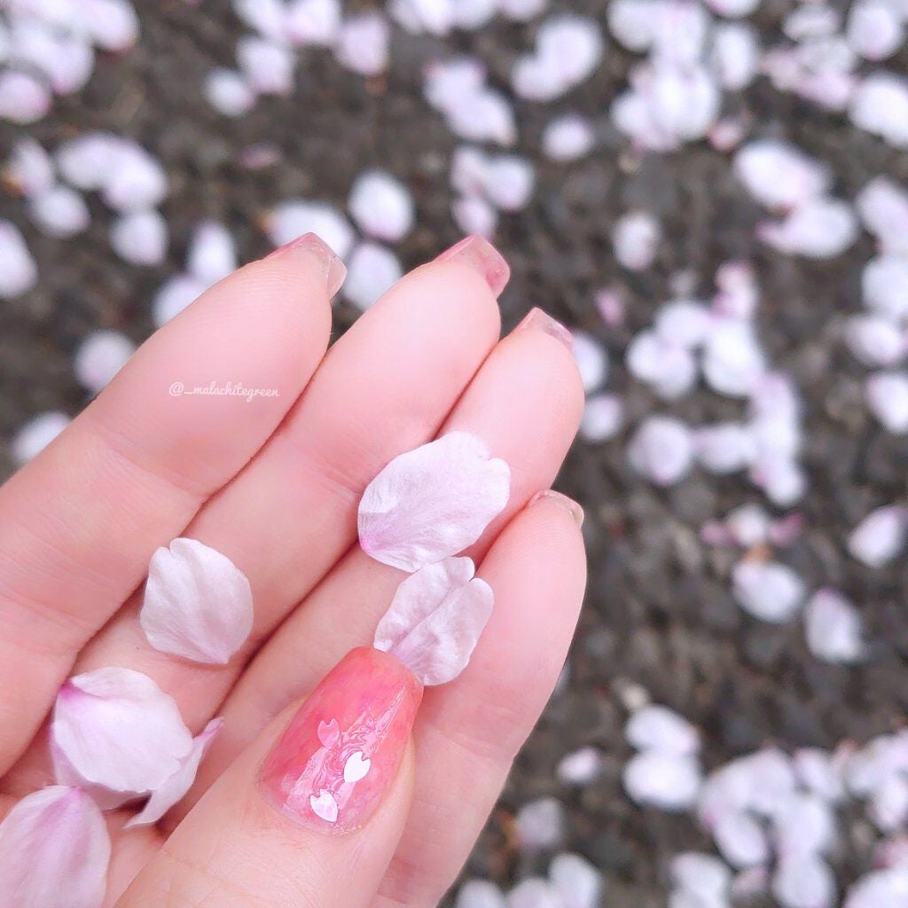 四季彩まといネイル/kyo・miori/マニキュアを使ったクチコミ(4枚目)