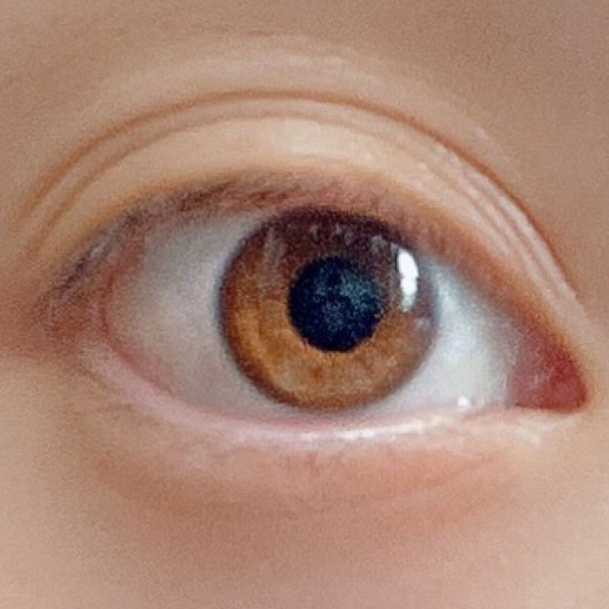 Angelcolor Bambi Series Vintage 1day/AngelColor/ワンデー（１DAY）カラコンを使ったクチコミ（3枚目）