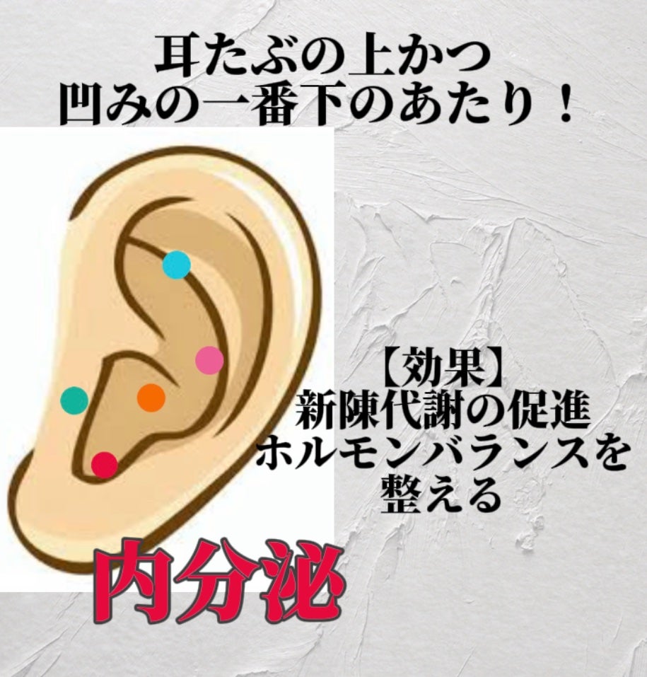 ツボ押しローラー /SASUKE/ボディグッズを使ったクチコミ(5枚目)