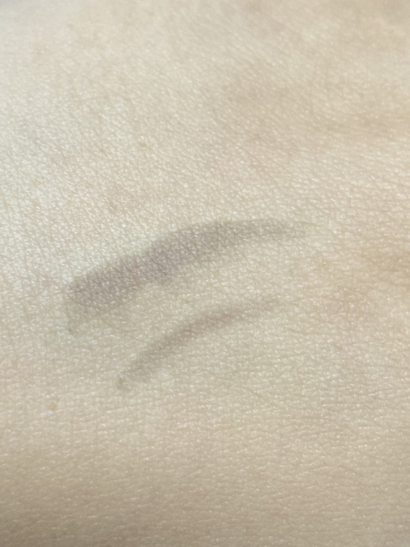 セリア HKアイシャドウ×アイブロウのクチコミ「【100円！】珍しいブラシ！で、描き心地もいいのだけれども


セリアで
2WAY STICK.....」（3枚目）