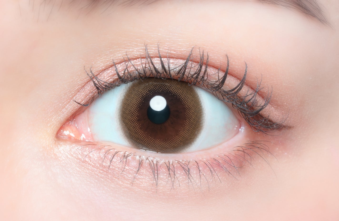 FLANMY TORIC 1day きなこロール