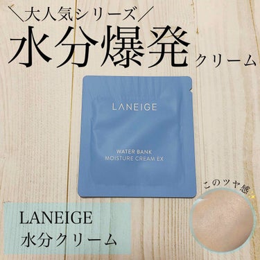 ウォーターバンク モイスチャークリーム EX /LANEIGE/フェイスクリームを使ったクチコミ（1枚目）