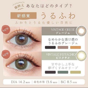 Angelcolor Bambi Series Vintage 1day/AngelColor/ワンデー（１DAY）カラコンを使ったクチコミ（3枚目）