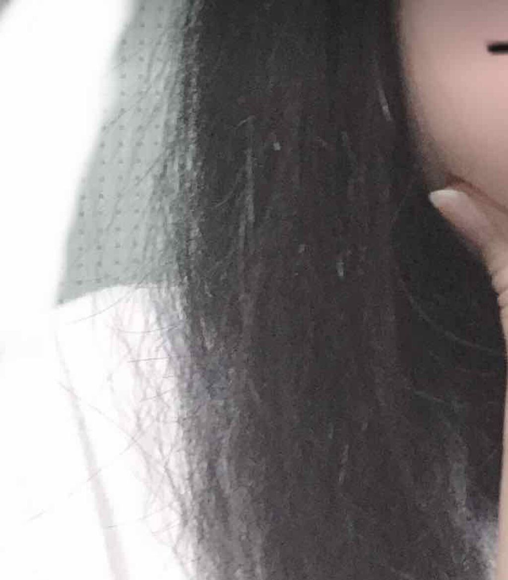 オイルインシャンプー／オイルインコンディショナー（リッチ＆リペア）/ディアボーテ/市販シャンプーを使ったクチコミ（1枚目）