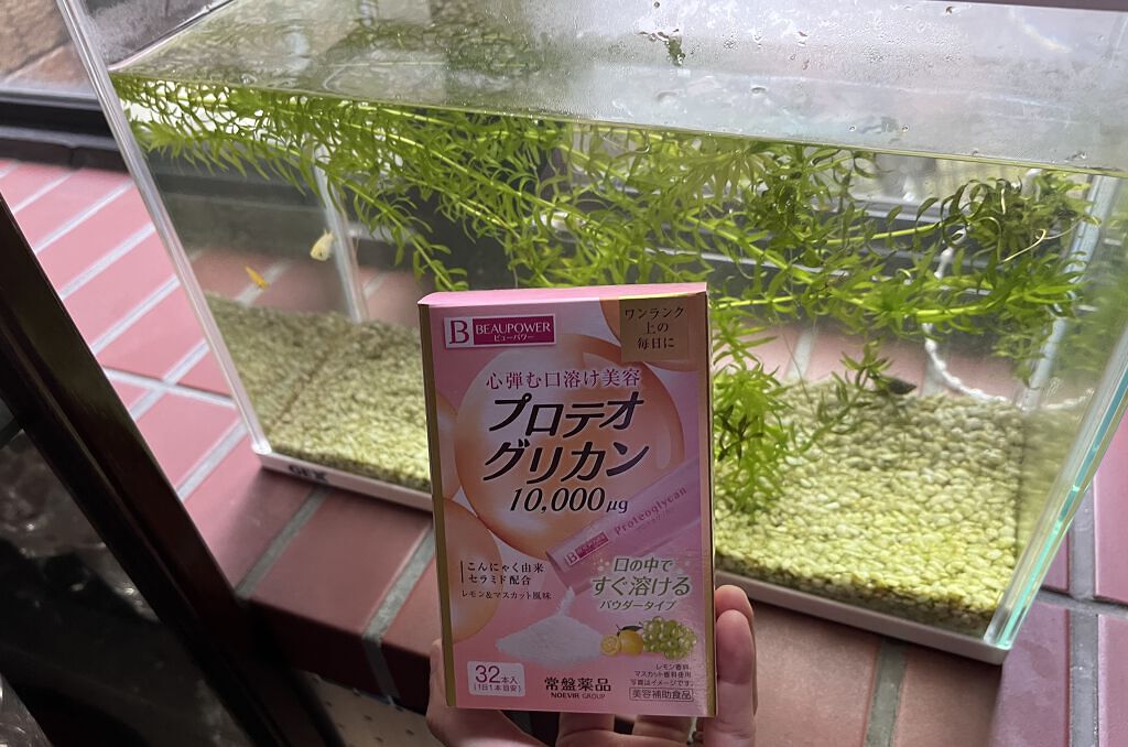 プロテオグリカン＜パウダー＞/ビューパワー/美容サプリメントを使ったクチコミ（1枚目）