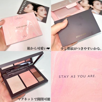 フィット my カラーパレット/STEIASUR(ステイアシュール)/マルチパレットを使ったクチコミ(5枚目)