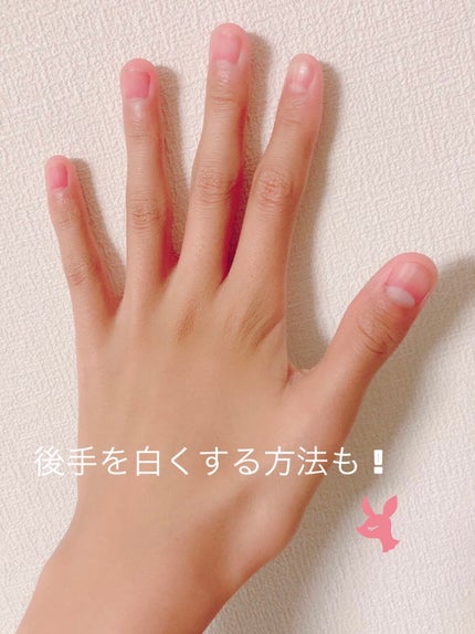 ã䜿ã£ãã¯ãã³ãïŒ2æç®ïŒ