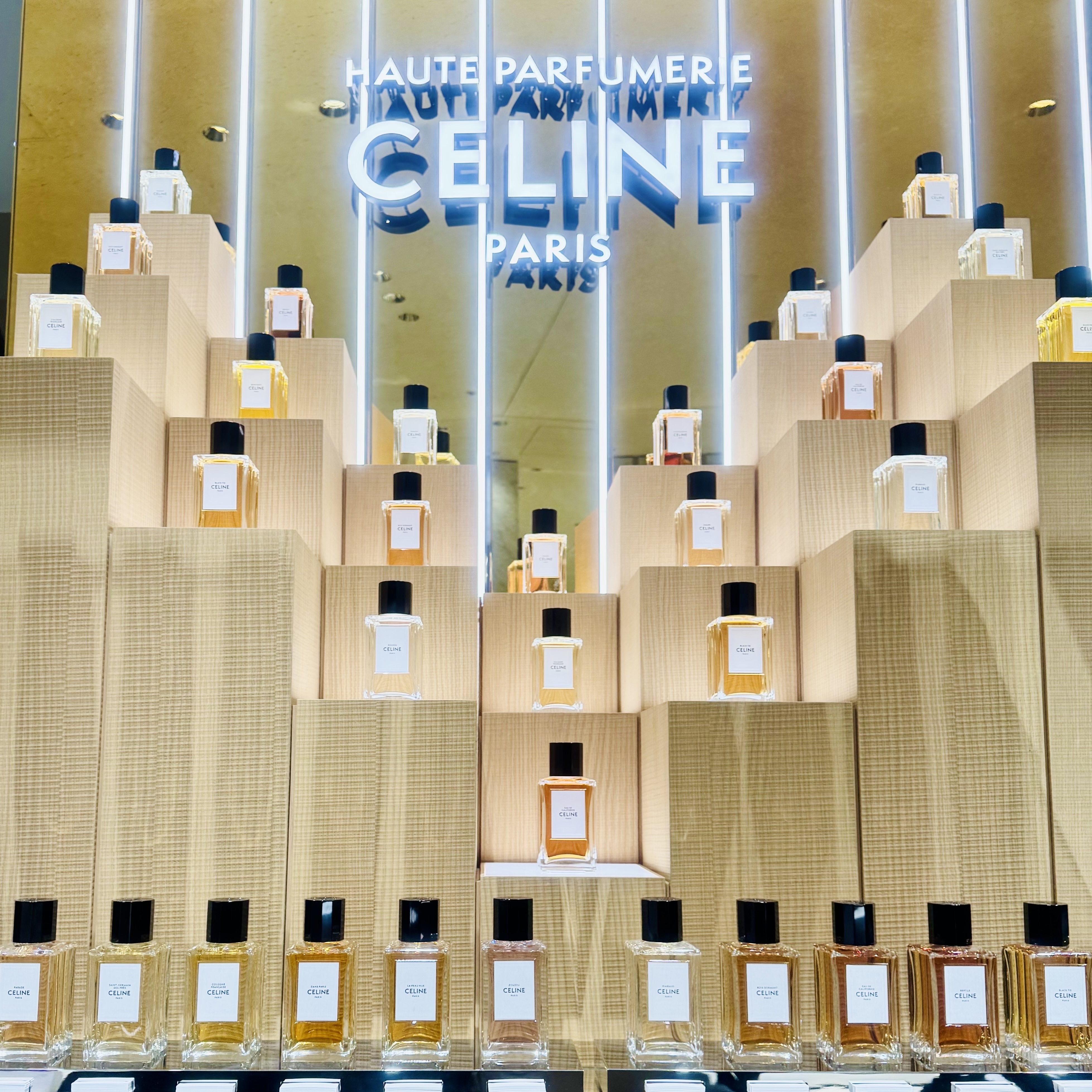 ル ルージュ セリーヌ/CELINE/口紅を使ったクチコミ（3枚目）