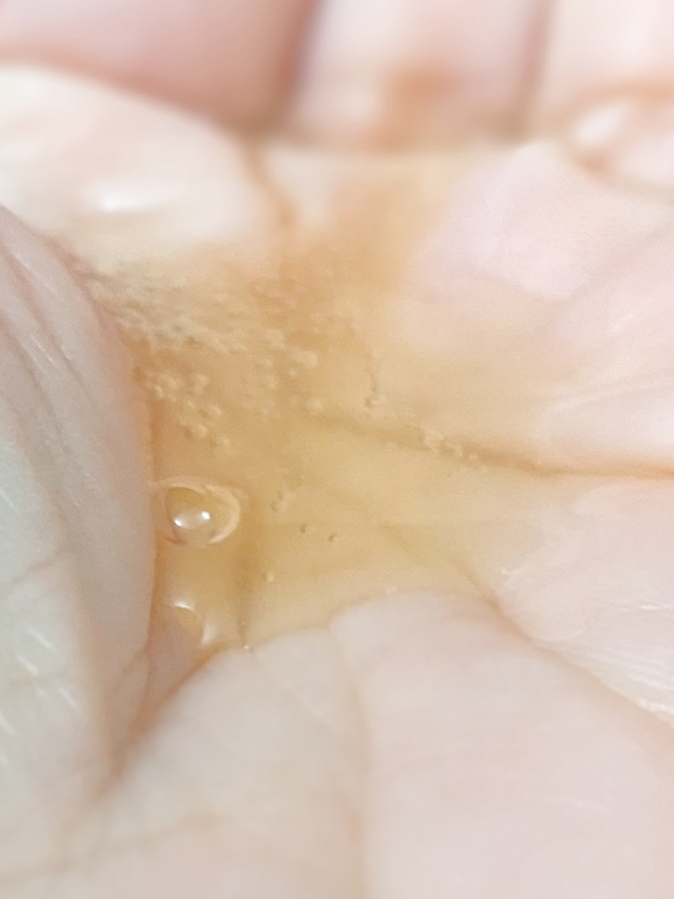 COCON time ココンタイム セリシン入り ヘア&ボディシャンプー/みやびやかシリーズ/市販シャンプーを使ったクチコミ（2枚目）