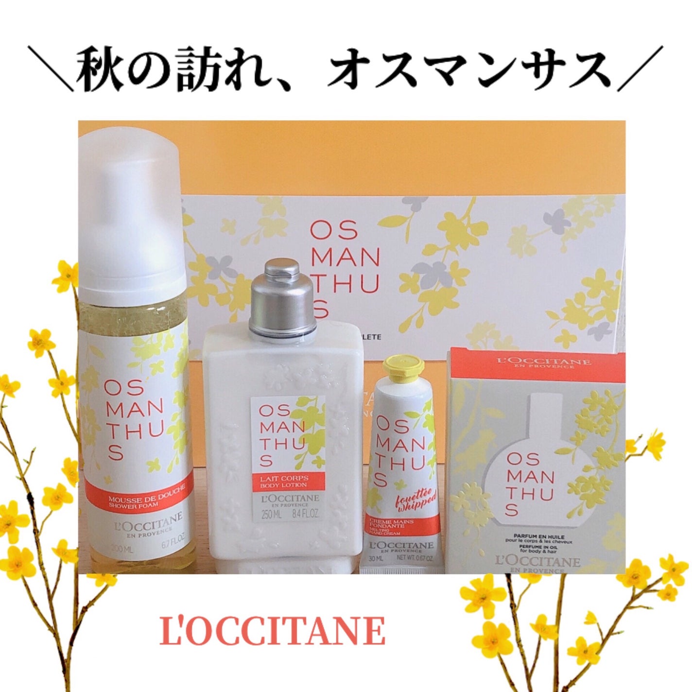 まる/フォロバ100 on LIPS 「【L'OCCITANEの金木犀🌼*・】オスマンサスハンドクリー..」(1枚目)