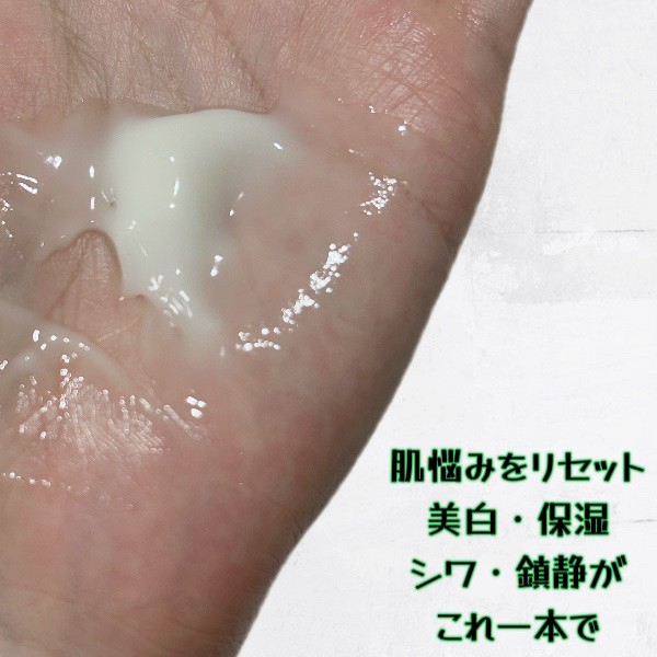 EGFクリーム/BY ECOM/フェイスクリームを使ったクチコミ（3枚目）